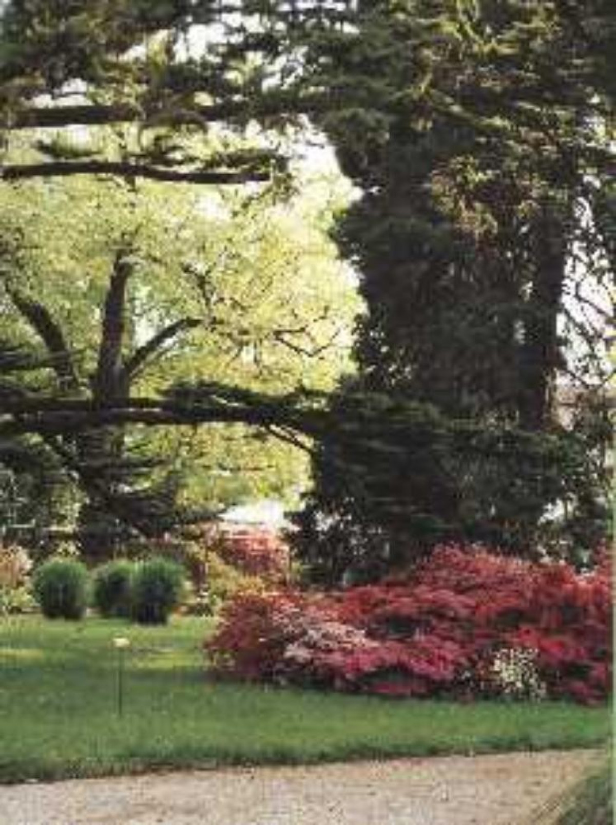 Orto botanico lucchese e Museo botanico Cesare Bicchi (Lucca) ViaggiArt