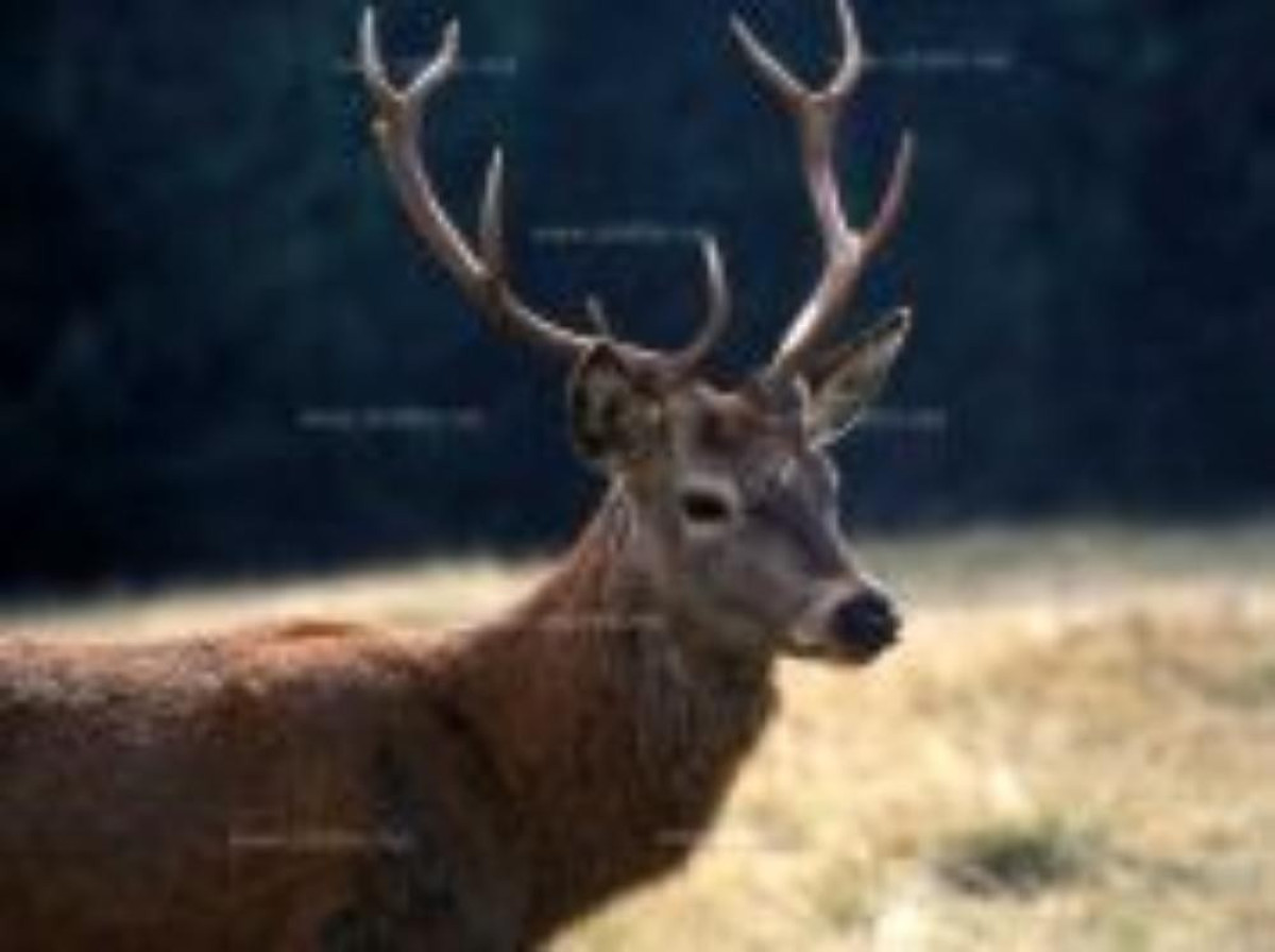 Castelsantangelo sul Nera cosa vedere e cosa fare ViaggiArt