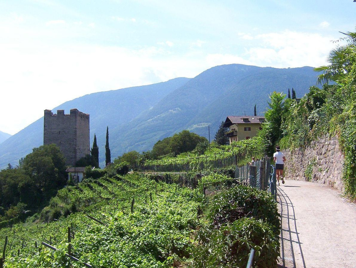 Passeggiata Tappeiner (Merano) ViaggiArt