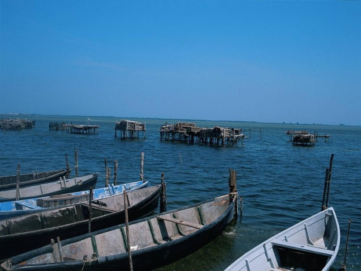 Lesina what to see and what to do ViaggiArt