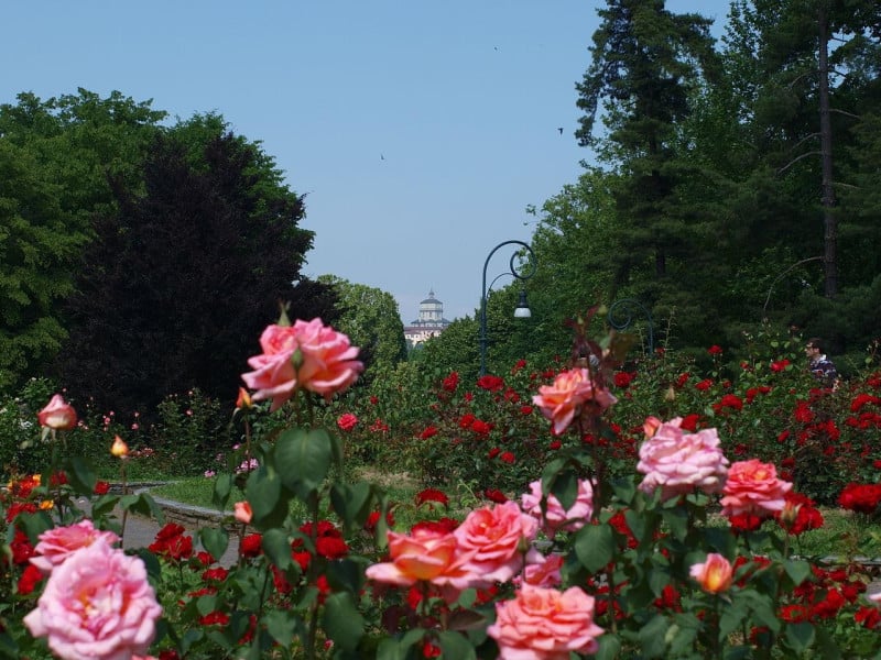 Parco Del Valentino Torino ViaggiArt