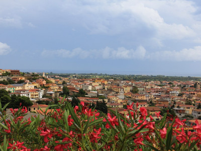 CC BY-SA Di Gianni Careddu - Opera propria, CC BY-SA 3.0, https://commons.wikimedia.org/w/index.php?curid=33676772