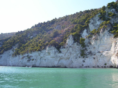 BY Pubblico dominio, https://it.wikipedia.org/w/index.php?curid=1337393