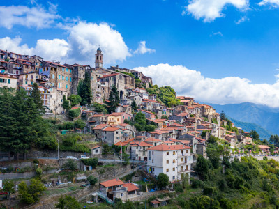 BY Bernhard Traenkle/Shutterstock
