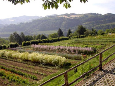 Immagine descrittiva -