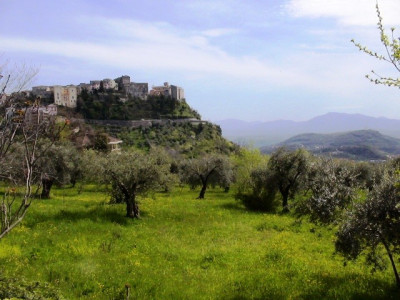 Immagine descrittiva - 