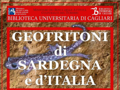 Locandina: Geotritoni d'Italia