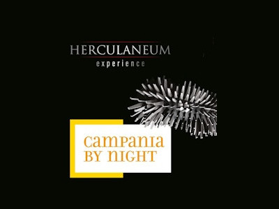 Herculaneum Experience