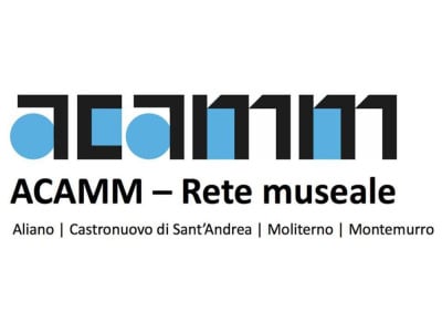 Logo ACAMM