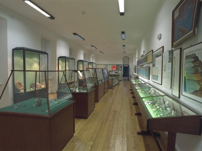 Salsomaggiore Terme, Il Mare Antico - Museo Paleontologico
