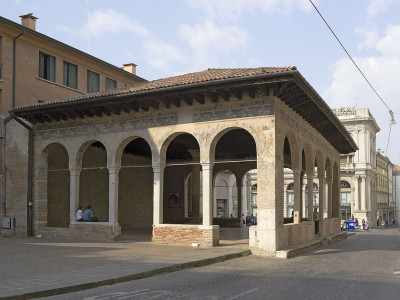 Immagine descrittiva - CC BY-SA Di Didier Descouens - Opera propria, CC BY-SA 3.0, https://commons.wikimedia.org/w/index.php?curid=15337944