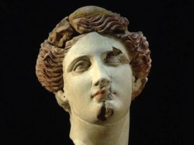 Testa femminile in terracotta - SALA XI-