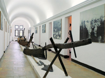 Museo di Storia della Mezzadria "Sergio Ansel