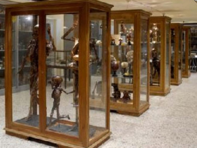 Pisa, MUSEO DI ANATOMIA UMANA DEL DIPARTIMENTO DI MORFOLOGIA UMANA E BIOLOGIA APPLICATA
