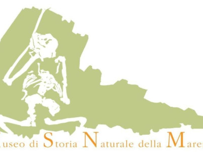Grosseto, MUSEO DI STORIA NATURALE DELLA MAREMMA