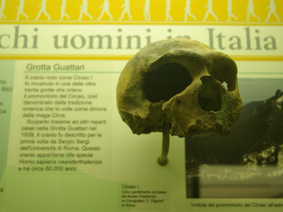 Immagine descrittiva - CC BY-SA Di Bramfab - Opera propria, CC BY-SA 4.0, https://commons.wikimedia.org/w/index.php?curid=73093679