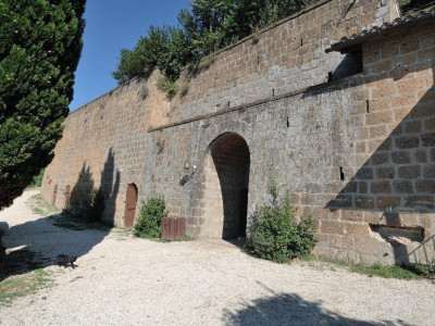 Immagine descrittiva - 