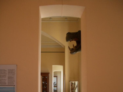 Lecco, Museo di Storia Naturale