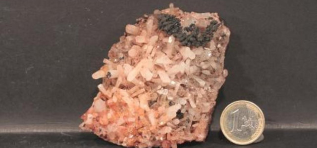 Museo di Pio Mariani