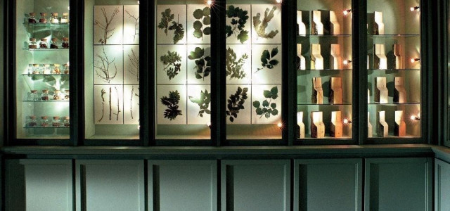 Museo del Parco Alto Garda bresciano - Centro visitatori di Gargnano