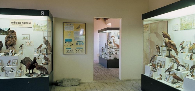 Museo civico ornitologico Gustavo Adolfo Carlotto