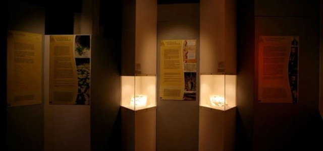 Museo botanico Don Pietro Porta