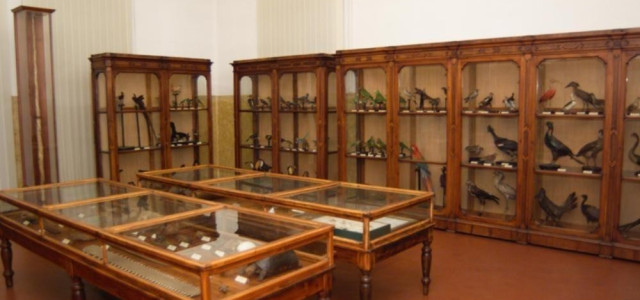 Museo civico di storia naturale di Cremona