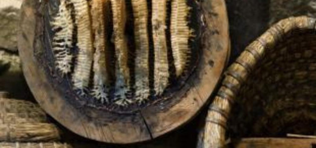 Museo dell'apicoltura - Maso Plattner