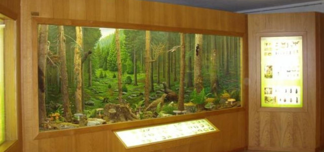 Museo naturalistico di Asiago