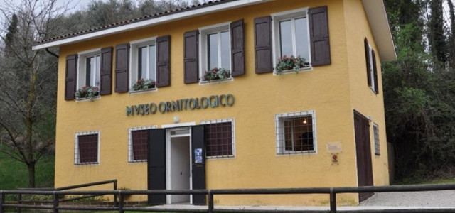 Museo ornitologico "Massimino della Riva"