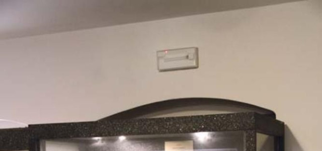 Preone 200 milioni di anni