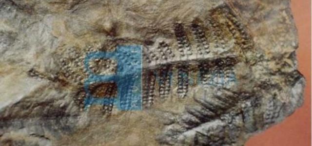 Museo archeologico naturalistico di Tarcento