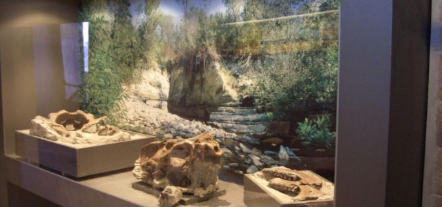 Museo geologico "G. Cortesi"
