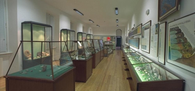 Il mare antico - museo paleontologico