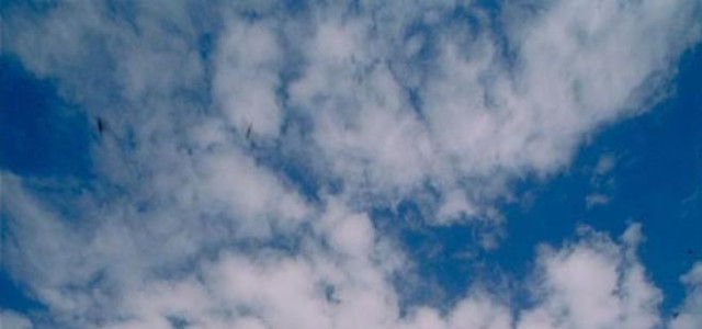 Raccolta Augusto Righi