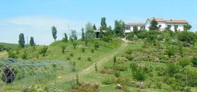 Museo giardino delle rose antiche