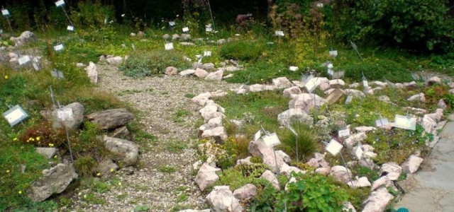 Giardino botanico Alpino &quot;Esperia&quot;