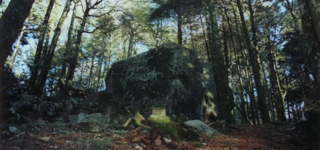 Parco Naturale Regionale delle Serre