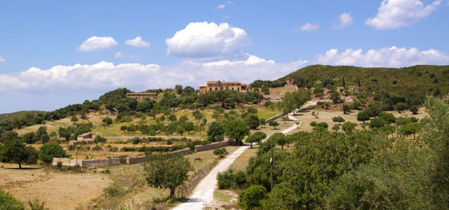 Masserie pugliesi, il fascino del Sud tra arte e tradizione