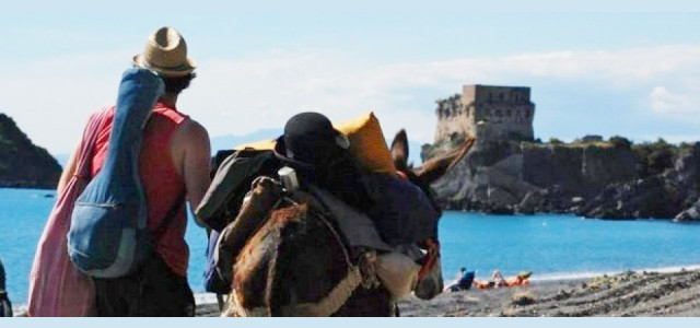 Calabria slow, dall’asinello alla bici