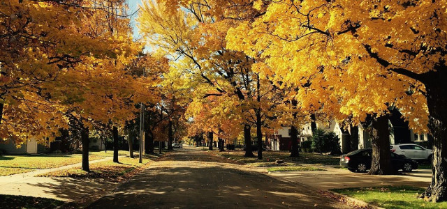 Tutti pazzi per il “foliage” d’autunno