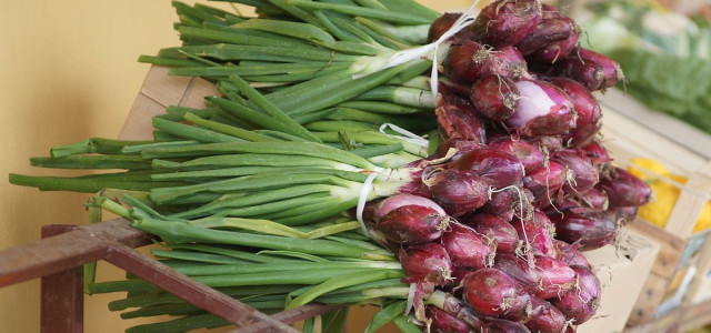 The Red Onion of Tropea