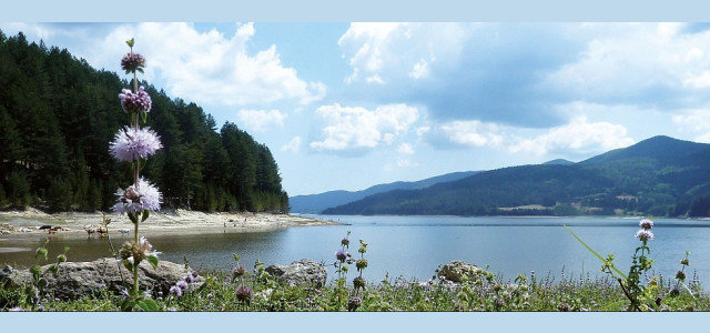 Scopri il Parco Nazionale della Sila, natura da vivere!