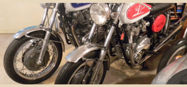 Collezione Pasquale Mesto