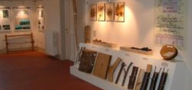 Museo del castagno di Castel del Rio