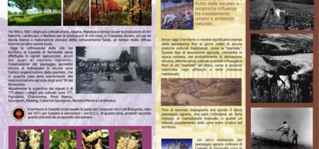 Ecomuseo della collina e del vino