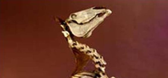 Museo di anatomia degli animali domestici