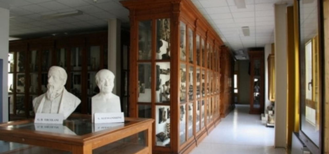 Museo di anatomia patologica e teratologia veterinaria &quot;G.B. Ercolani&quot;