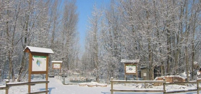 Museo del cielo e della terra