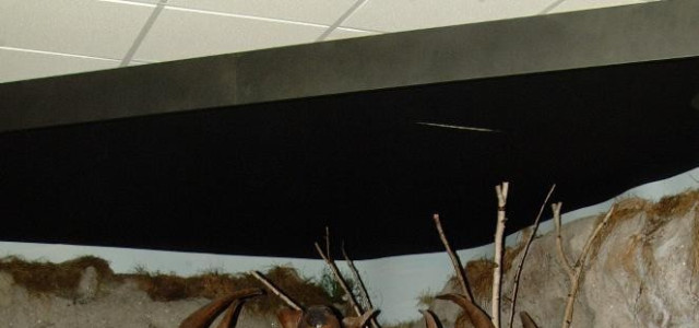 Museo della preistoria "Luigi Donini"